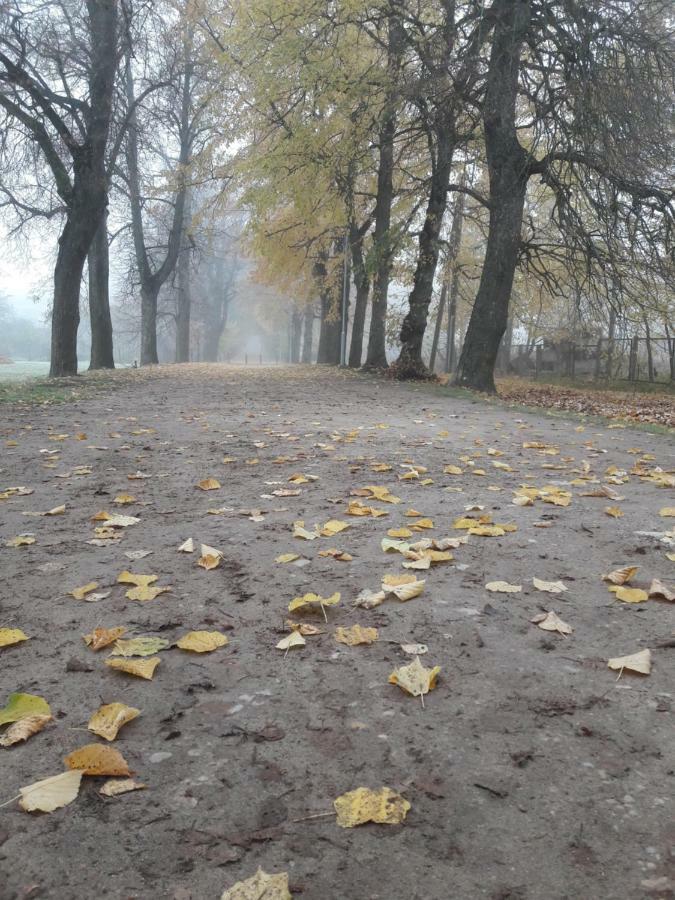 Вилла Alejas Namins Jurgi Экстерьер фото